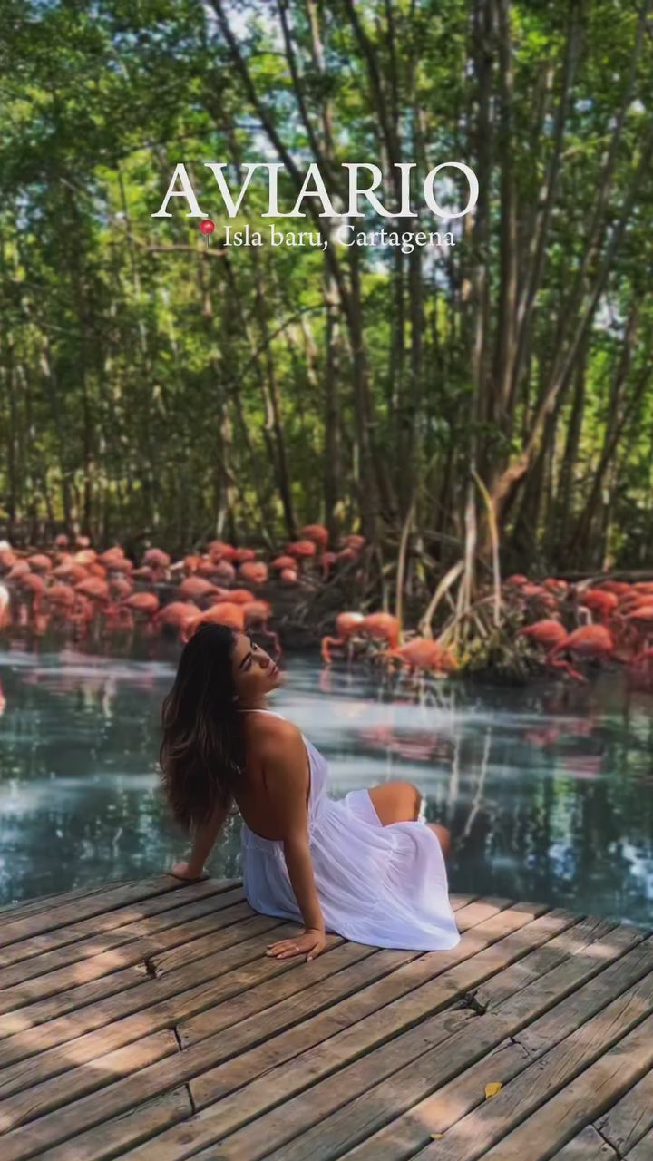 Tour al Aviario Nacional desde Cartagena | Barú